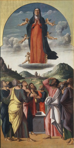Assunzione della Vergine Alvise Vivarini 1476-1478 Olio e tempera su Tavola
