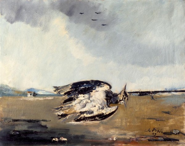 Marine Still Life with a Lapwing