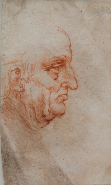 Uomo a mezzo busto di profilo rivolto verso destra (recto)