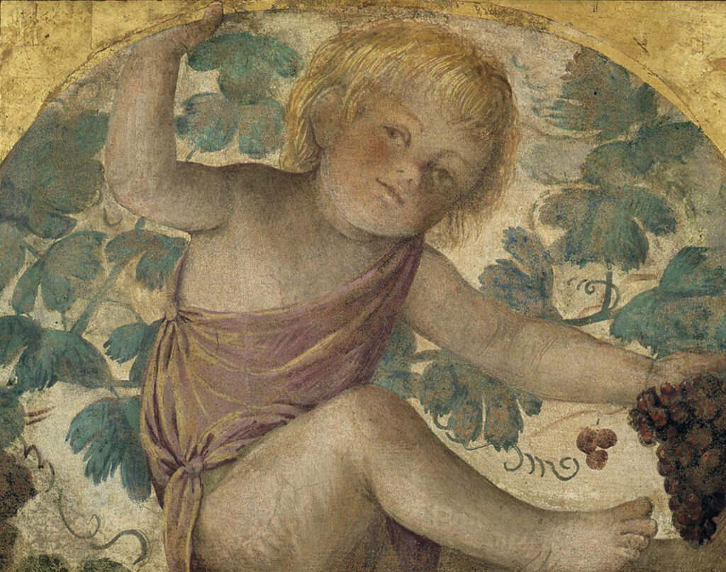 Putti vendemmianti &#8211; Putto sotto un pergolato