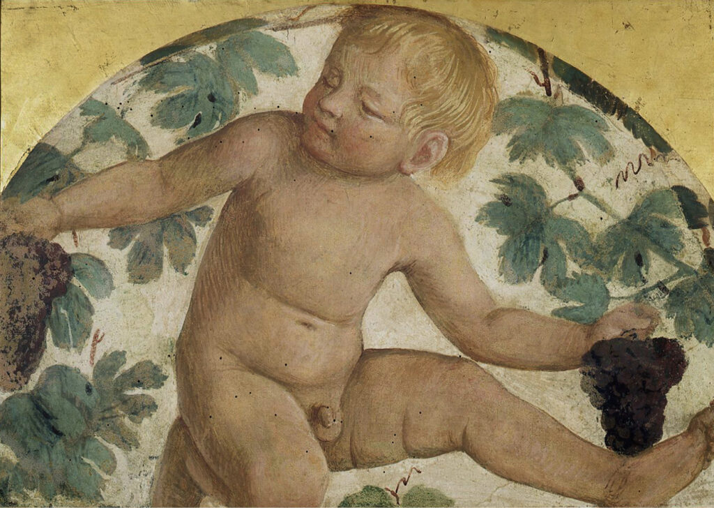 Putti vendemmianti &#8211; Putto sotto un pergolato