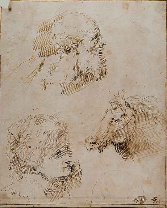 Teste di vecchio, di giovane e di cavallo