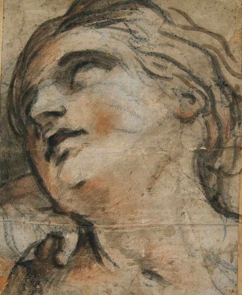 Testa femminile reclinata