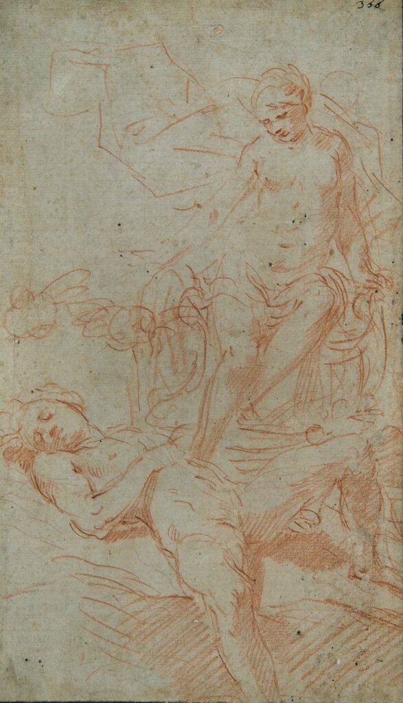 Studio per Venere sul carro e Adone giacente