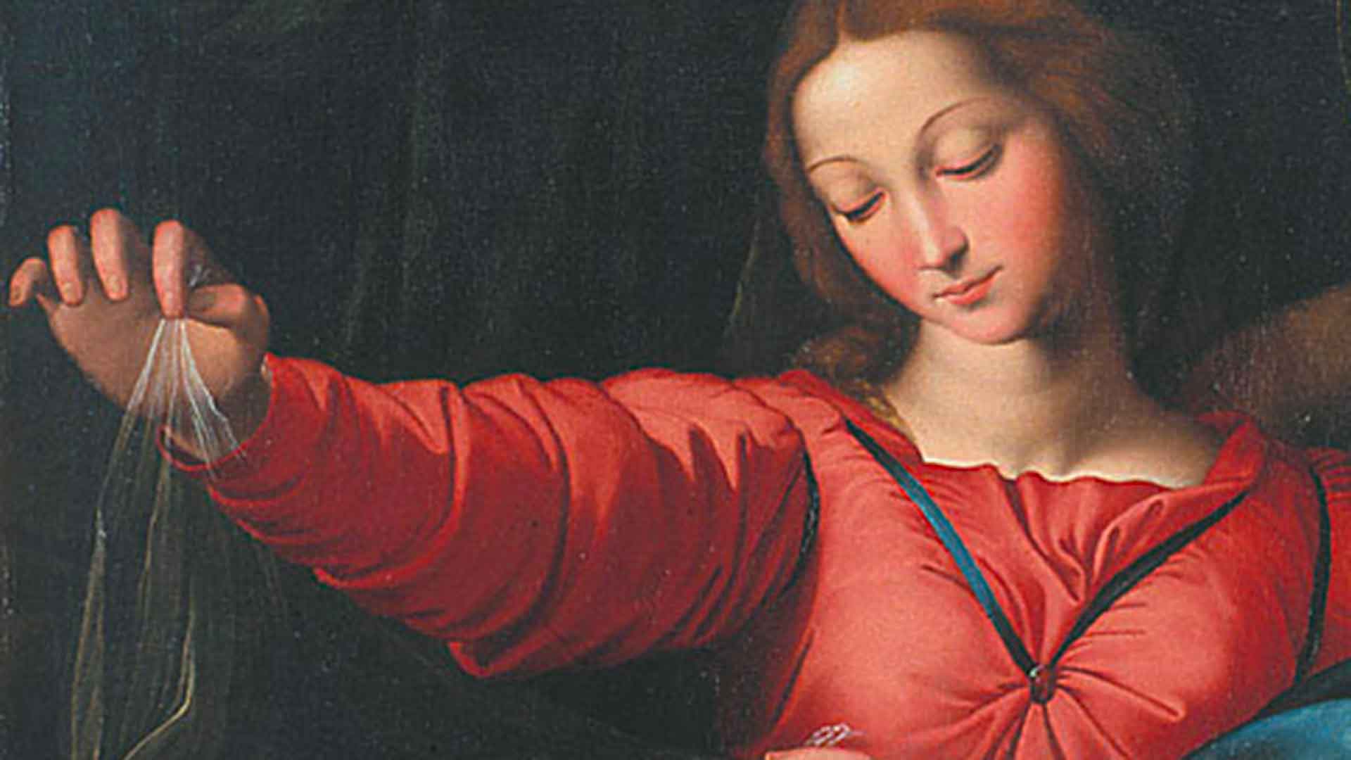 dettaglio madonna del velo di Sassoferrato