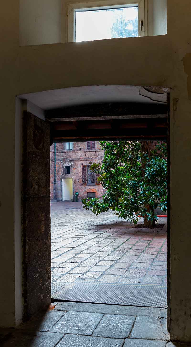16 - Cortile della Magnolia  e corridoio dello studio di Hayez