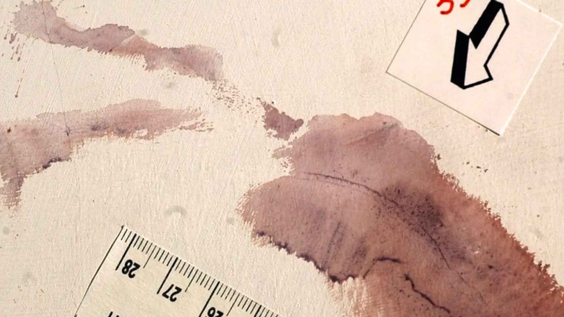 L’IMPRONTA di Giancarla Rondinelli